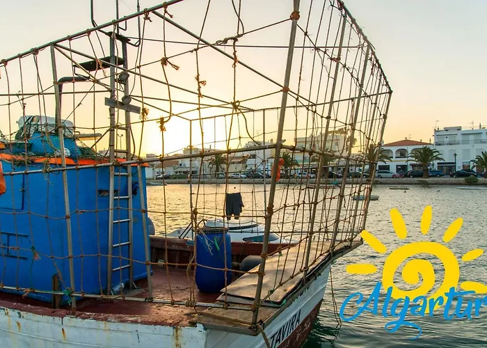 Apartment Yin By Algartur *